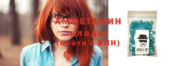 индика Осташков