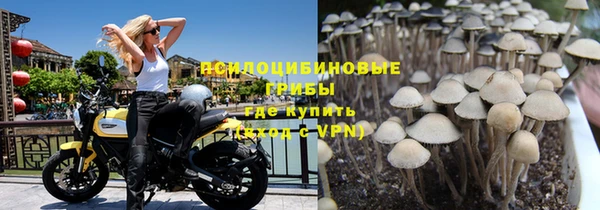 стаф Балабаново