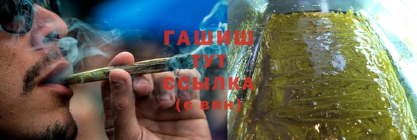 гашик Аркадак